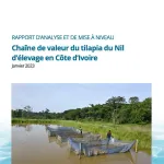 rapport-exclusif-fao-chaine-de-valeur-du-tilapia-du-nil-d-elevage-en-cote-d-ivoire-2023