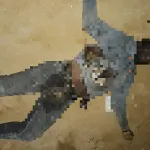 braquage-avorte-sur-l-autoroute-du-nord-l-un-des-5-braqueurs-abattu-par-le-pdg-de-l-entreprise-attaquee