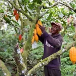 agriculture-les-efforts-du-gouvernement-qui-ameliorent-significativement-les-revenus-des-agriculteurs