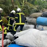 williamsville-13-victimes-dont-un-deces-dans-l-incendie-d-une-ligne-haute-tension-a-hauteur-du-cimetiere