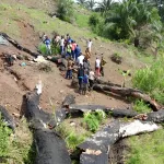 danane-un-gros-arbre-sec-deracine-ecrase-3-personnes-dans-un-champ-de-manioc-a-gouimpou