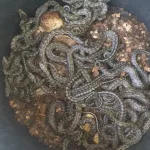 conservation-de-la-biodiversite-l-institut-pasteur-de-cote-d-ivoire-accueille-34-pythons-sebae-au-vivarium