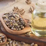 huile-essentielle-tout-ce-qu-il-faut-savoir-sur-l-huile-de-ricin-et-3-utilisations-a-connaitre