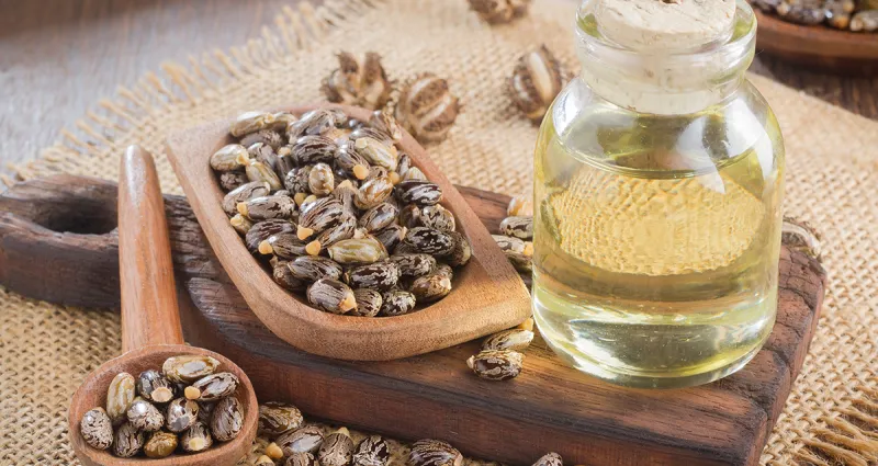 huile-essentielle-tout-ce-qu-il-faut-savoir-sur-l-huile-de-ricin-et-3-utilisations-a-connaitre
