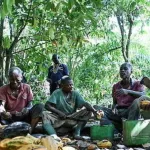 cacao-oxfam-appelle-les-geants-du-chocolat-a-augmenter-sensiblement-les-prix-a-la-production-payes-aux-producteurs