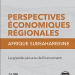 la-grande-penurie-de-financement-afrique-subsaharienne