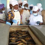 debarcadere-de-locodjoro-la-fao-releve-des-insuffisances-hygieniques-le-rapport-complet-remis-au-gouvernement