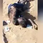 chauffeur-de-gbaka-tue-par-son-apprenti-les-revelations-choquantes-du-president-des-transporteurs-d-abobo