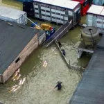 italie-des-milliers-d-exploitations-agricoles-sous-l-eau-des-milliards-d-euros-de-degats