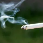lutte-contre-le-tabagisme-le-gouvernement-est-a-pied-d-oeuvre-pour-freiner-l-epidemie-tabagique