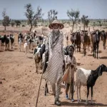 environnement-les-consequences-du-changement-climatique-au-sahel