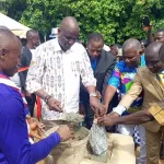 municipales-2023-a-tiassale-alpha-sanogo-rhdp-aux-cotes-des-populations