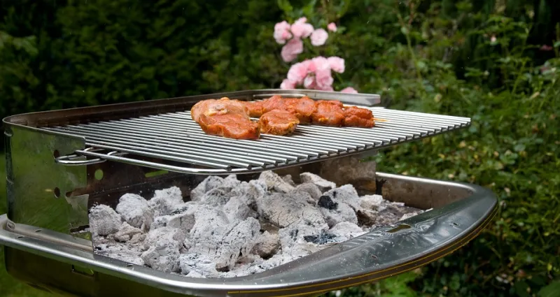idees-ingenieuses-4-manieres-de-recycler-les-cendres-de-barbecue