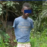 issia-un-planteur-decapite-son-neveu-sur-recommandation-d-un-feticheur-et-dissimule-la-tete-dans-une-palmeraie