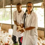 parcours-de-responsable-juridique-marie-josee-reussit-sa-reconversion-dans-l-elevage-de-volailles