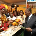 pourquoi-la-cote-d-ivoire-suspend-les-exportations-de-cacao-et-quelles-sont-les-consequences