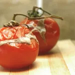 alimentation-vos-fruits-et-legumes-pourrissent-trop-vite-4-trucs-pour-y-remedier