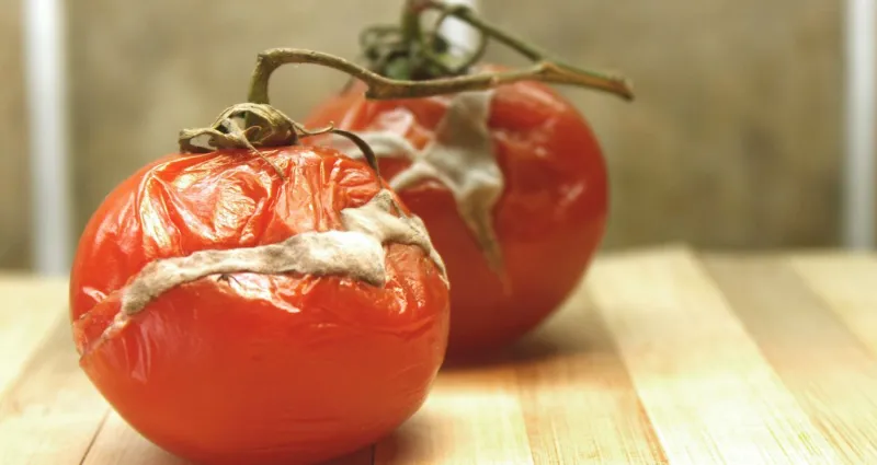 alimentation-vos-fruits-et-legumes-pourrissent-trop-vite-4-trucs-pour-y-remedier