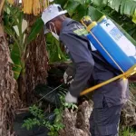 epidemie-de-dengue-deja-82-cas-dont-des-deces-le-ministere-de-la-sante-lance-une-campagne-de-demoustication