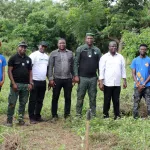 restauration-du-couvert-forestier-une-structure-appuie-le-marathon-du-planting-d-arbres-forestiers-a-abengourou