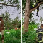 drame-a-cocody-riviera-m-pouto-un-jeune-homme-de-27-ans-retrouve-pendu