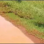 region-des-grands-l-axe-jacqueville-kraffy-un-vrai-chemin-de-croix-pour-les-populations-du-littoral-reportage