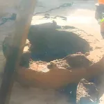 drame-a-tiebissou-le-corps-sans-vie-d-une-vieille-femme-decouvert-dans-un-puits