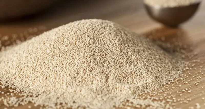 levure-de-biere-6-bienfaits-de-la-levure-de-biere-pour-l-homme