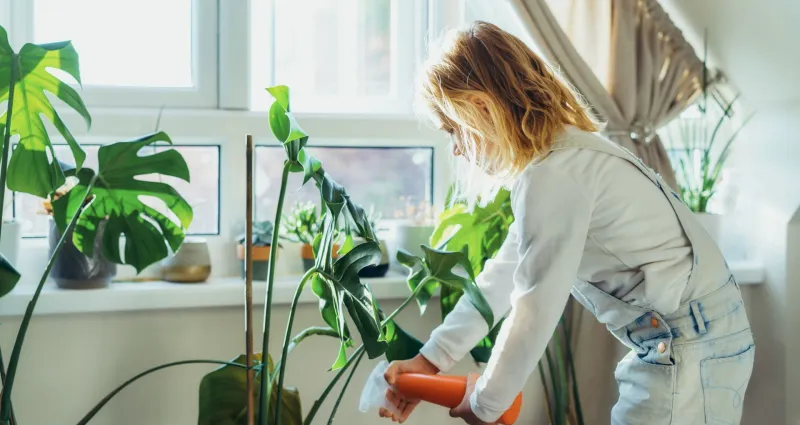 entretien-de-maison-3-plantes-qui-rafraichiront-votre-interieur