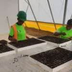 les-centres-de-formation-et-de-services-agricoles-astc-un-pilier-de-l-economie-ivoirienne