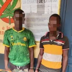 ferke-la-police-saisit-16-000-gelules-et-comprimes-kadhafi-dans-un-camion-en-provenance-d-un-pays-voisin