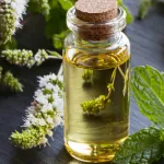 soin-corporelle-4-astuces-beaute-avec-de-l-huile-essentielle-de-menthe-poivree