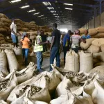 cote-d-ivoire-yamoussoukro-plusieurs-jeunes-formes-au-metier-de-transformation-du-cajou