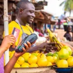 la-resilience-en-afrique-vers-le-financement-de-la-paix-de-la-securite-et-du-developpement-sur-le-continent