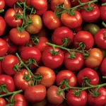 tomates-5-erreurs-frequentes-qui-reduisent-leur-gout-et-leurs-vertus