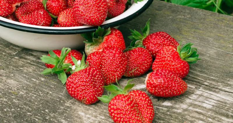 fruits-trop-mures-4-astuces-geniales-pour-utiliser-vos-fraises-trop-mures