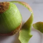 peau-du-kiwi-les-bonnes-raisons-d-en-manger