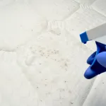 revelation-choc-les-secrets-pour-bien-nettoyer-votre-matelas-comme-un-pro