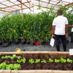 cote-d-ivoire-plus-de-78-milliards-fcfa-mobilises-pour-la-prise-en-charge-de-36-000-jeunes-en-2023