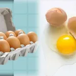 secrets-insoupconnes-des-oeufs-des-astuces-inedites-pour-une-cuisine-revolutionnaire