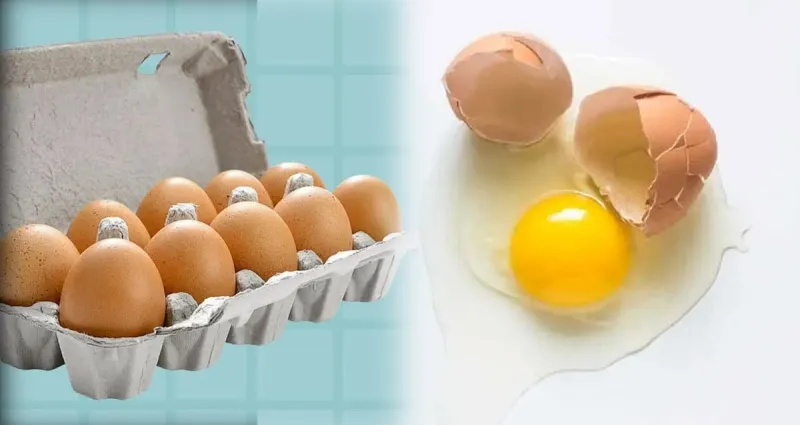 secrets-insoupconnes-des-oeufs-des-astuces-inedites-pour-une-cuisine-revolutionnaire