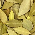 revelation-etonnante-la-feuille-de-laurier-l-astuce-secrete-pour-un-refrigerateur-frais-et-parfume