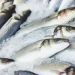 poisson-5-secrets-infaillibles-pour-toujours-choisir-du-poisson-frais