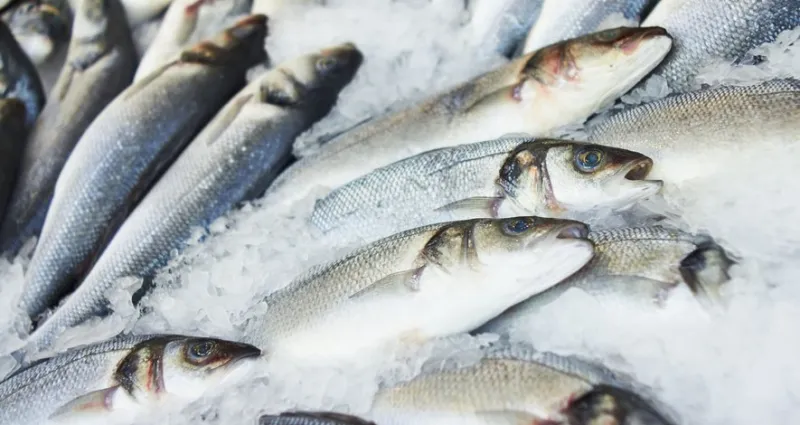 poisson-5-secrets-infaillibles-pour-toujours-choisir-du-poisson-frais