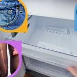 innovations-surprenantes-utilisez-votre-congelateur-autrement