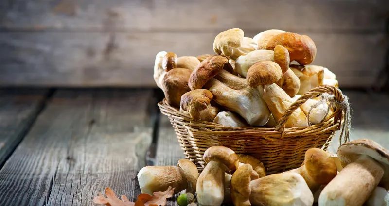 champignons-6-astuces-incontournables-pour-les-conserver-pour-toujours