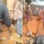 drame-a-yopougon-un-mur-s-effondre-sur-des-eleves-des-victimes-denombrees-video