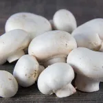 champignon-de-paris-la-revelation-sur-les-champignons-de-paris-que-vous-devez-absolument-connaitre