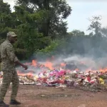 lutte-contre-le-trafic-illicite-de-medicaments-plus-de-62-tonnes-de-produits-prohibes-incineres