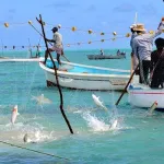 la-cote-d-ivoire-importe-85-de-sa-consommation-en-poisson-en-depit-de-son-enorme-potentiel-aquacole